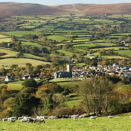 The Horse - Pub and Restaurant - Moretonhampstead, Dartmoor